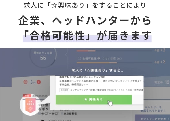 アンビの特徴の画像